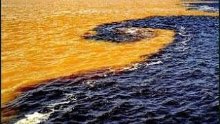 Картинка: как резко меняется цвет моря ближе к краю плоской земли
